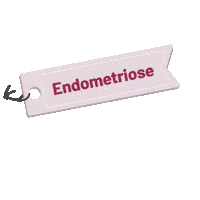 EndoApp endometriosis endometriose endowarrior adenomyosis Sticker