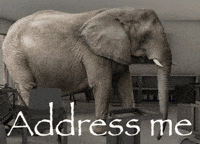 Elephant Address GIF
