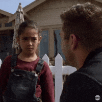 GIF by Animal Kingdom on TNT