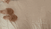 GIF by Flamingueo