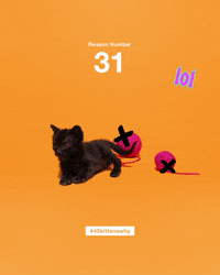 save them all best friends GIF by Best Friends Animal Society