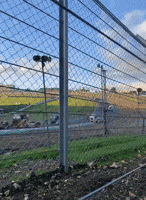 Close Call for Spectators as Racing Trucks Crash Into Barriers