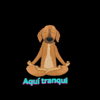 konemascotas  GIF