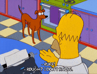 homer simpson episode 3 GIF