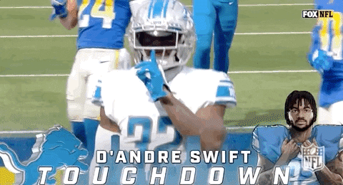 Detroit Lions Football GIF by NFL