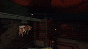 Amazon Art GIF by Wired Productions