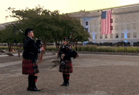 American Flag Usa GIF by GIPHY News
