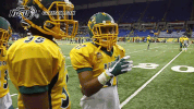 north dakota state dancing GIF by NDSU Athletics