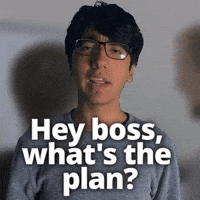 Hey boss, what's the plan?