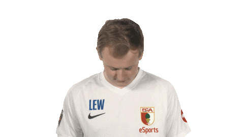 Fc Augsburg Fifa Sticker by Bundesliga