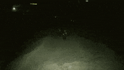 Rock Punk GIF by Raue