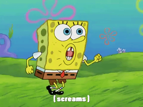 season 4 GIF by SpongeBob SquarePants