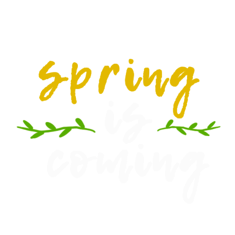 vik21-jui spring весна spring is coming весна идет Sticker