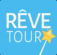 revetour reve revetour GIF