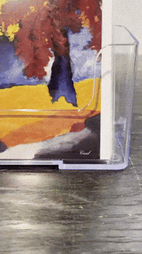 Art Canada GIF by Casol