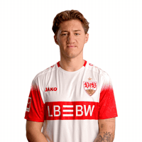 No Way Jako GIF by VfB Stuttgart 1893
