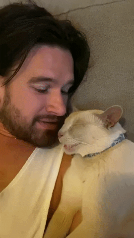 cuteanimalland giphyupload GIF