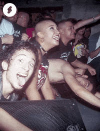 ShockCo fun party rock photography GIF