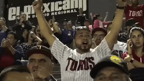 Baseball GIF by Toros de Tijuana