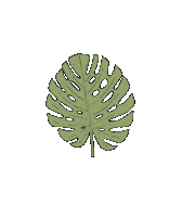 adrianaknispl leaf monstera adrianaknispl Sticker