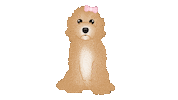 Cute Dog Sticker by zoopeez