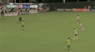 new york red bulls arun GIF by NYRB II