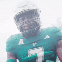 College Football GIF by USF Athletics