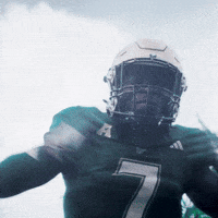 College Football GIF by USF Athletics