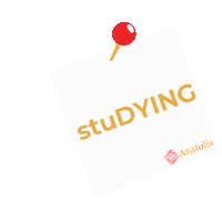 svanatolia student studying anatolia Sticker