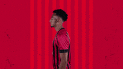 Celebrating Bring It GIF by AFC Bournemouth