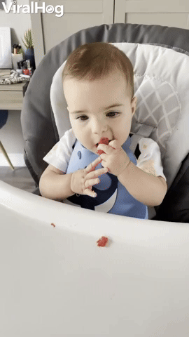 Little Baby Is an Adorable Chewing Monster