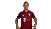 Bayern Munich Love Sticker by Bundesliga