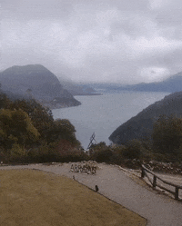 GIF by Arrayán Casa de Té