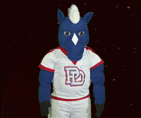 Dab Spirit GIF by Providence Day School