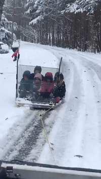 South Carolina Dad Transforms Old Golf Cart Roof Into Awesome Sled