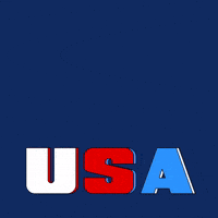 Independence Day Usa GIF by Todd Rocheford