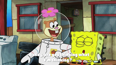 episode 1 whirly brains GIF by SpongeBob SquarePants