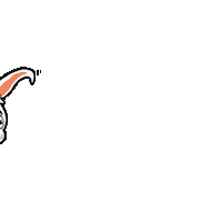 Bunny Lapin Sticker by Hopbox