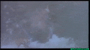 Toho GIF