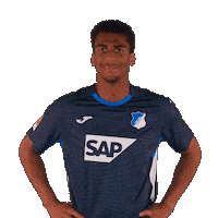 Sport Bundesliga Sticker by TSG Hoffenheim