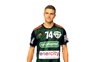Sticker Bundesliga Sticker by DIE RECKEN