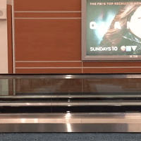 GIF by Brittlestar