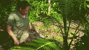 Genie Looking GIF by Survivor CBS