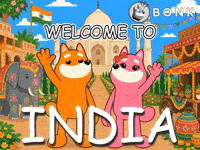 Crypto India GIF by BONK