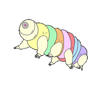 almaforrer bear science colors strong Sticker