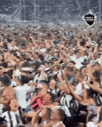 Nilton Santos Libertadores GIF
