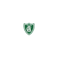semearbanco futebol semear america mg coelhao Sticker