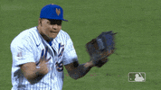 Celebrate Ny Mets GIF by New York Mets
