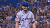 Ny Mets Baseball GIF by New York Mets