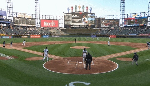 bclemens6 giphyupload GIF